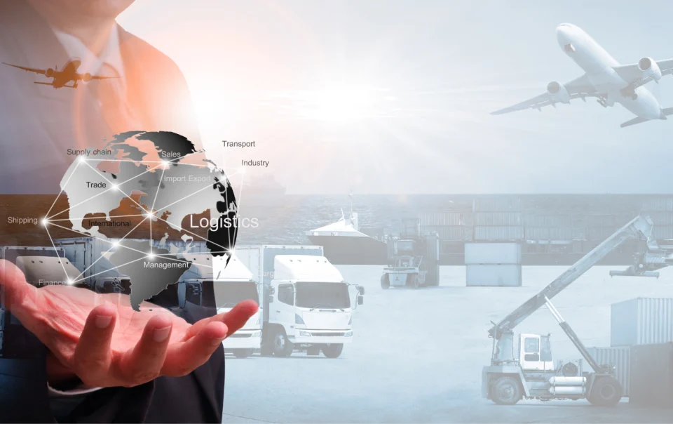 dış ticaret danışmanlığı