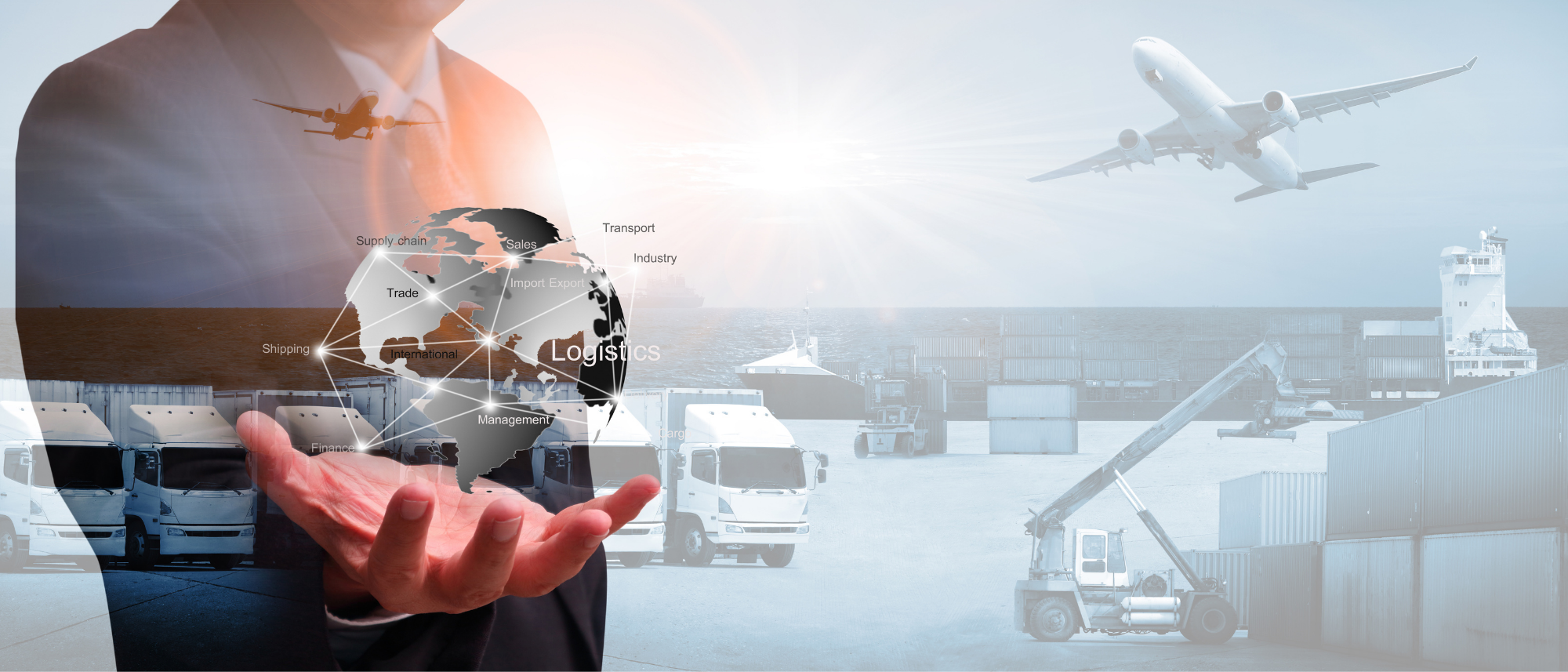 dış ticaret danışmanlığı